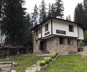 Family Hotel Ginger Pamporovo